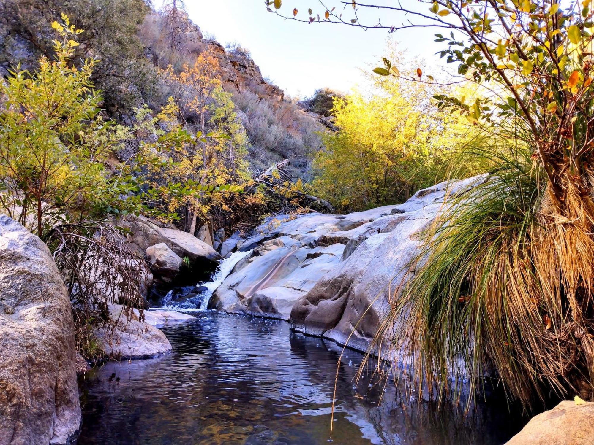 Quiet Mind Lodge, Spa & Retreat Sequoias Kernville Exteriör bild